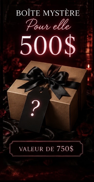 Boîte mystère 500$ — accessoire intime M et Mme Plaisir